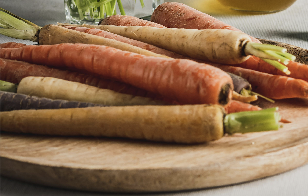 alimentation pour chiens faite maison ou industrielle : Pourquoi le frais est preferable